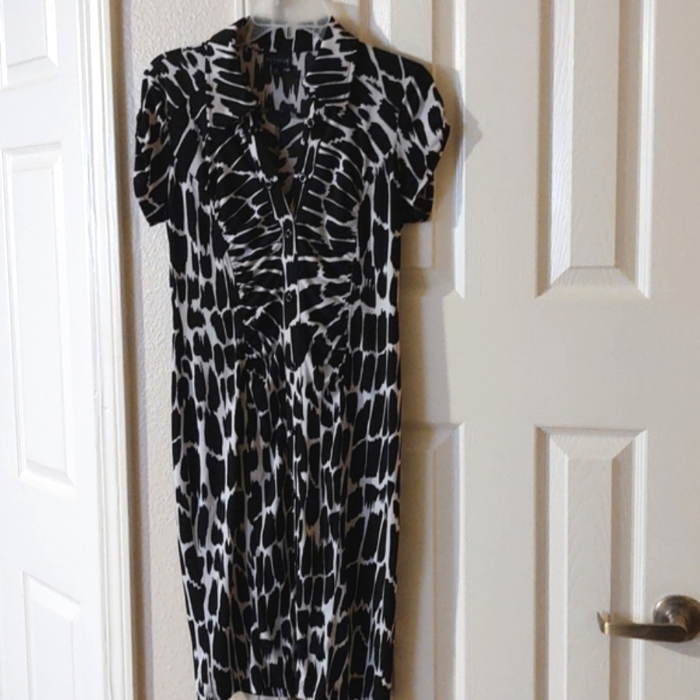 Enfocus Studios Women's Dress in Size 8